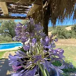Villa Encinas *