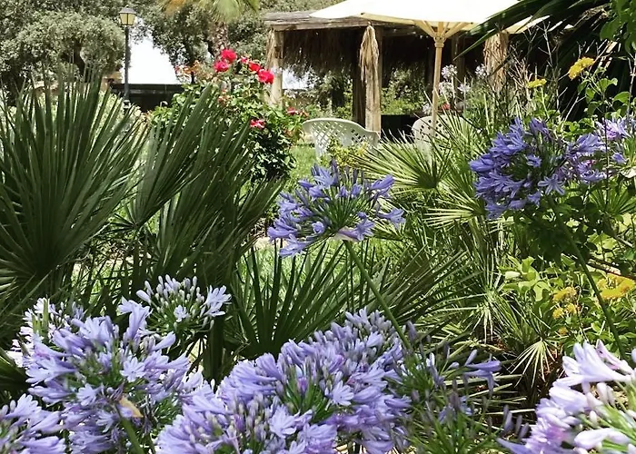 Encinas * רונדה