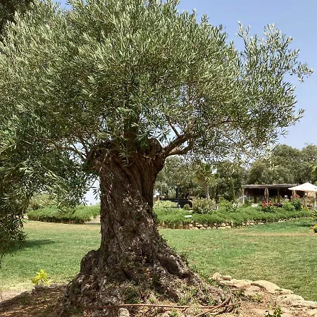 Vila Encinas Ronda