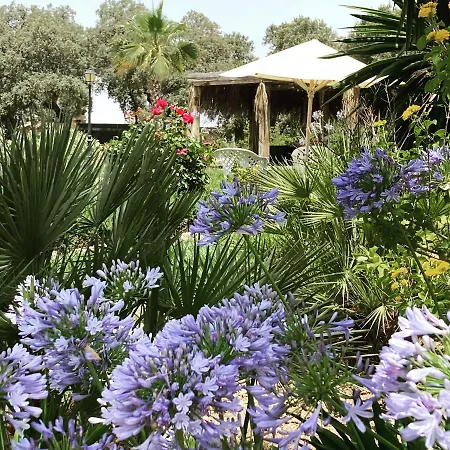 Encinas * רונדה